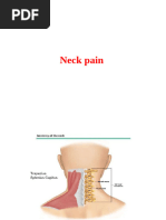Physical Medicine and Rehabilitation Pocketpedia | PDF