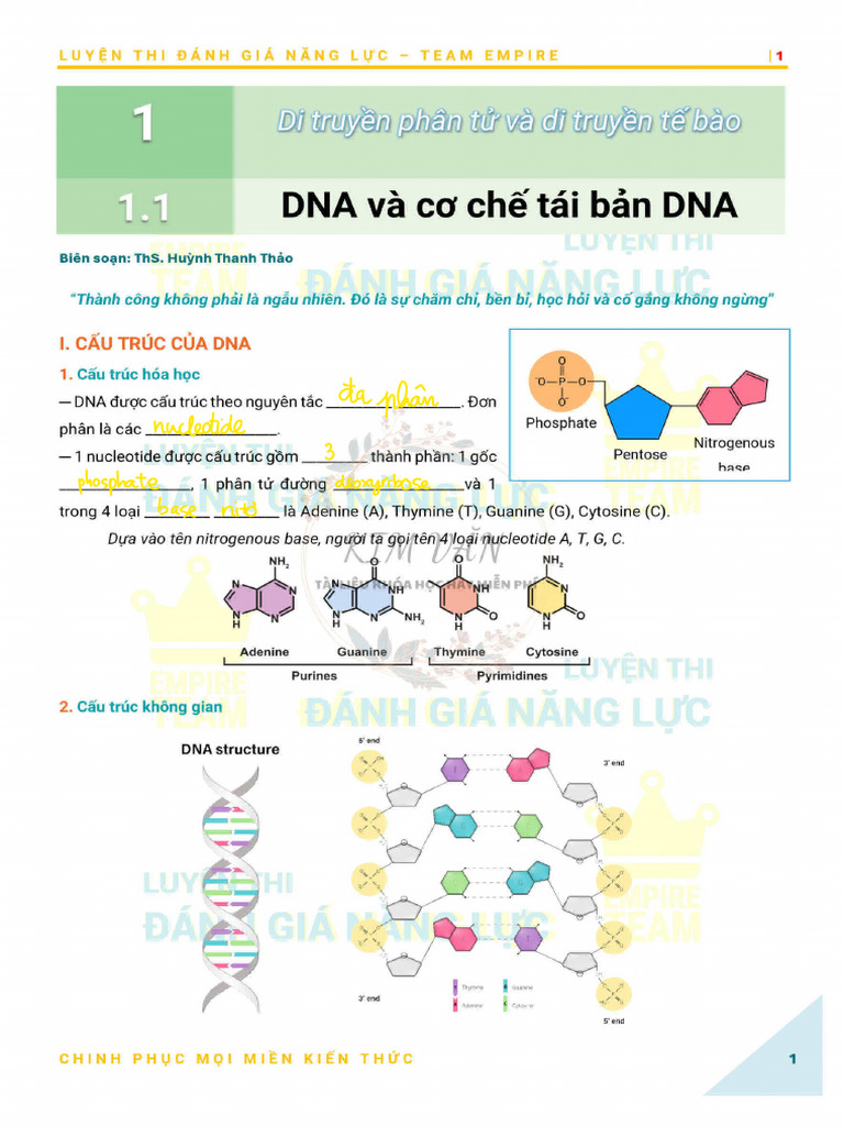 - 1.1. DNA VÀ CƠ CHẾ TÁI BẢN DNA (LÝ THUYẾT) | PDF