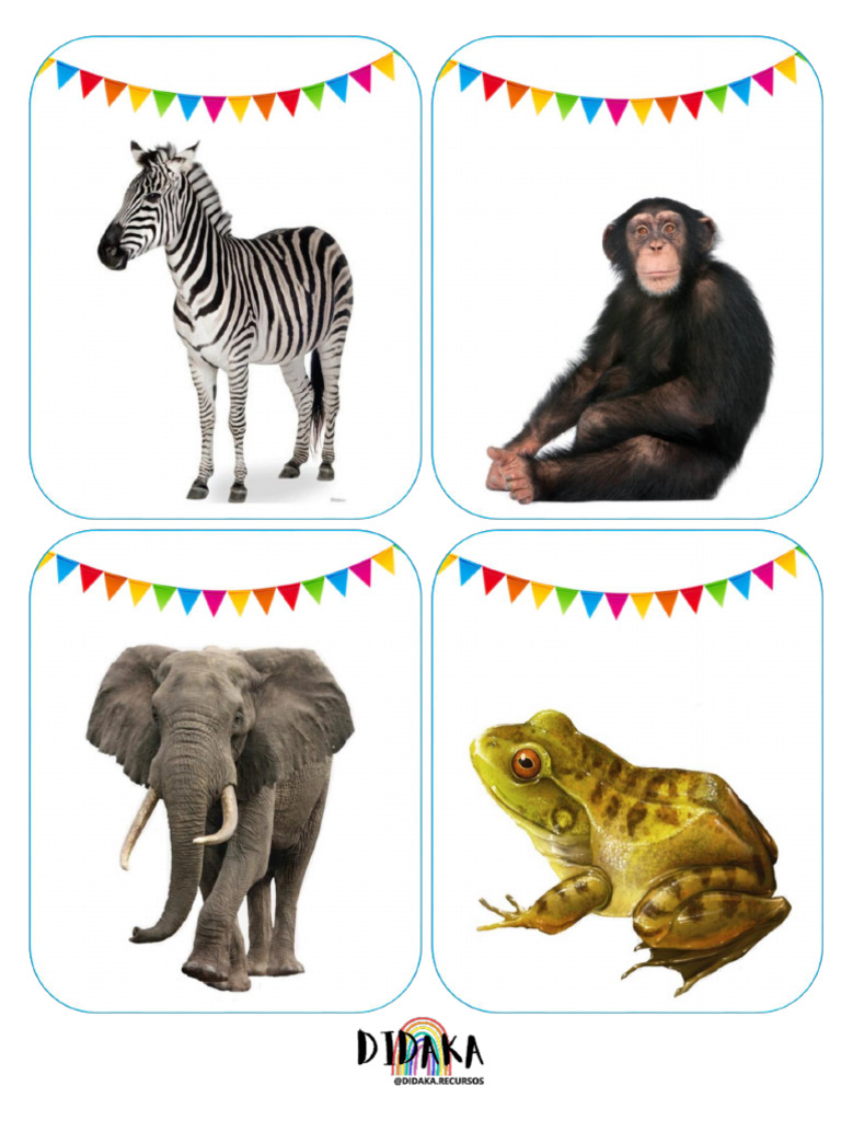 Animales de La Selva | PDF