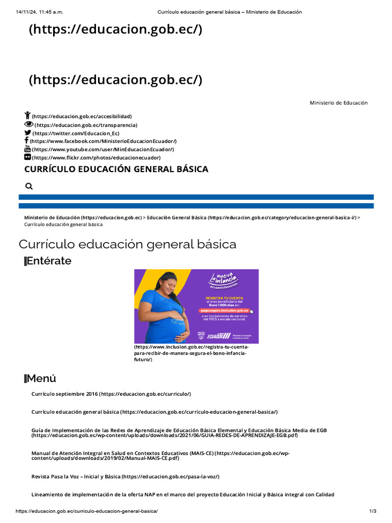 Currículo de Educación General Básica Ecuatoriana | PDF | Plan de estudios