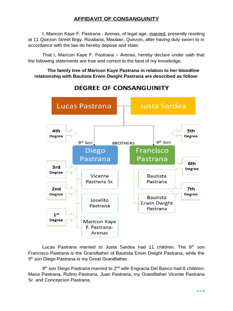 Affidavit of Consanguinity Details | PDF | Affidavit | Legal Procedure