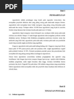 Download Appendicitis Acuta Dan Aspek Radiologisnya by adnanhendarman SN79643465 doc pdf