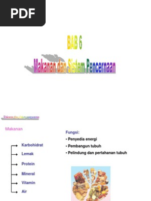 Bab 6 Makanan Dan Sistem Pencernaan Makanan