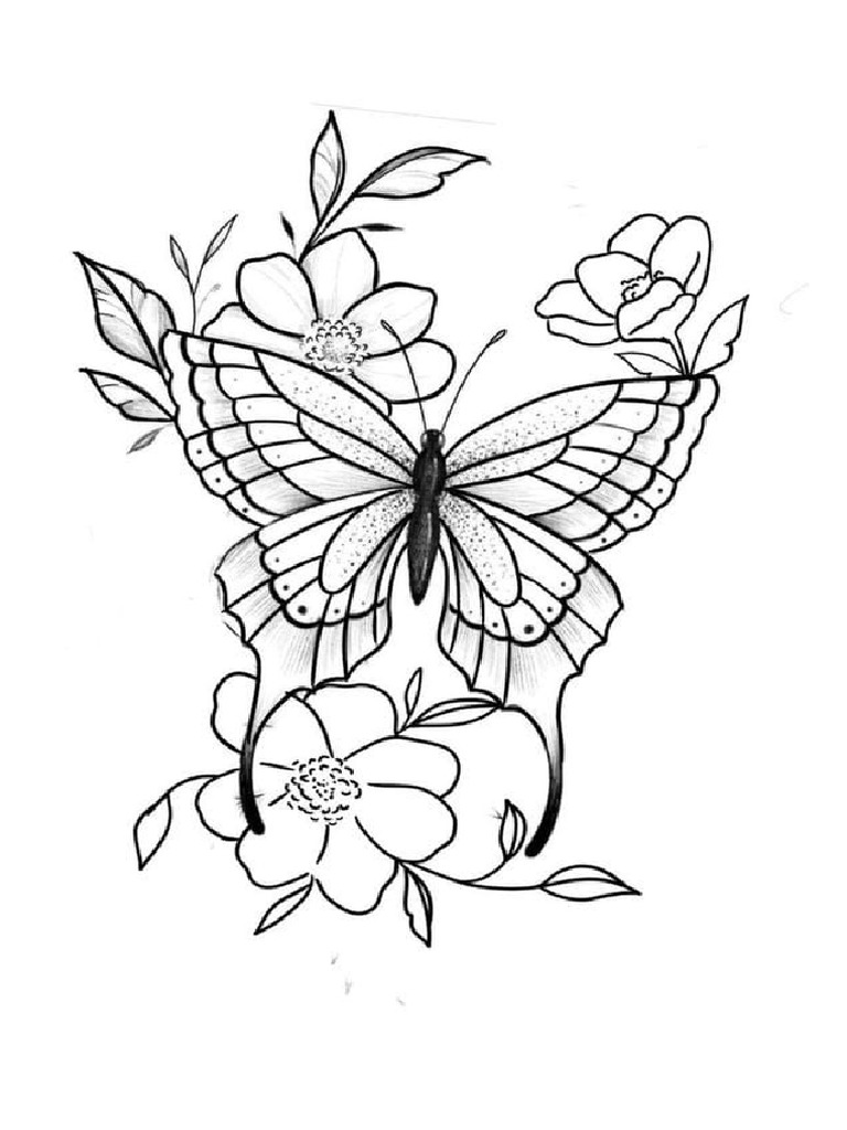 Buterfly pdf