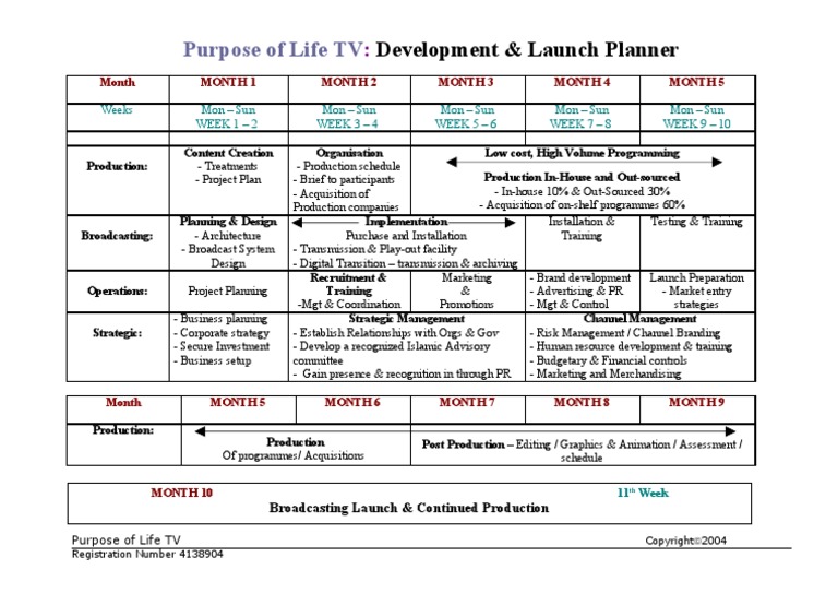 Development & Launch Planner of The TV Channel | PDF