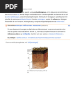 Typologie des Sols : Rendosols et Calcosols | PDF | Argile | Sol ...