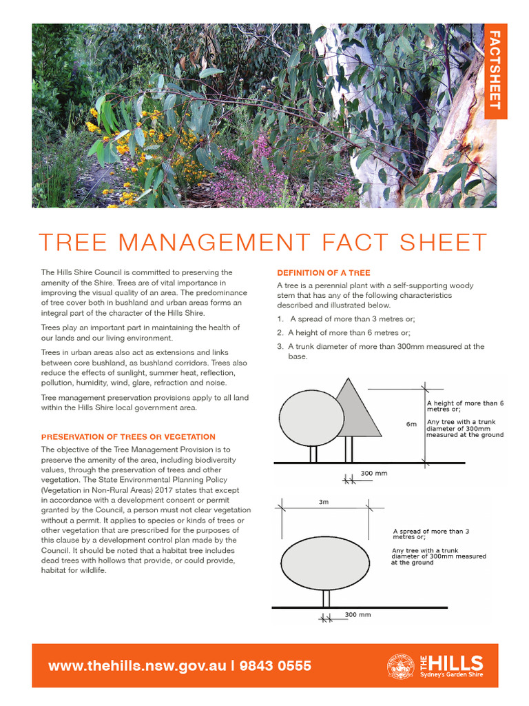 Fact Sheet - Tree Management | PDF | Trees | Pruning