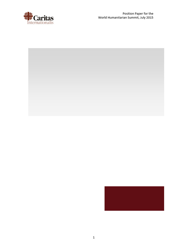 Caritas Internationalis: Humanitarian Effectiveness | PDF | Emergency ...