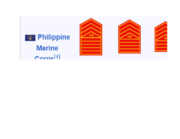 Officer Rank 5 | PDF