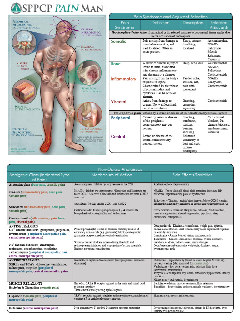 Pain Management for Clinicians | PDF | Pain | Nonsteroidal Anti ...