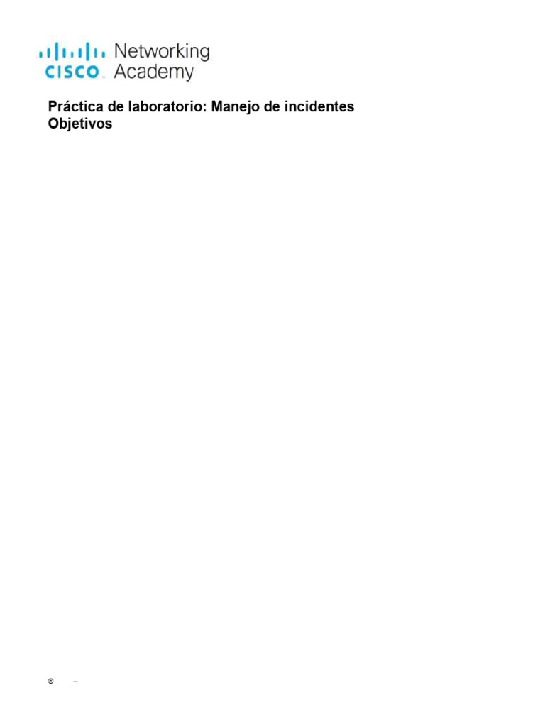 Manejo de Incidentes de Seguridad Informática | PDF | Informática
