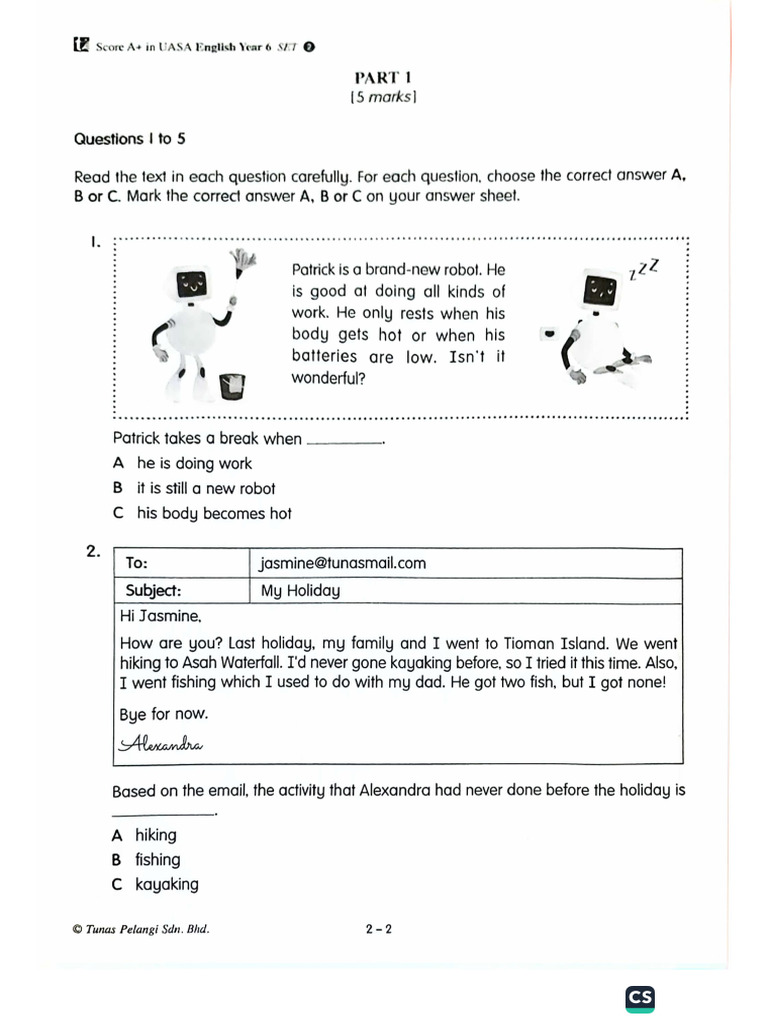 YEAR 6 ENGLISH TEST PAPERS WITH ANSWERS PDF FREE DOWNLOAD 2022 visual data 5