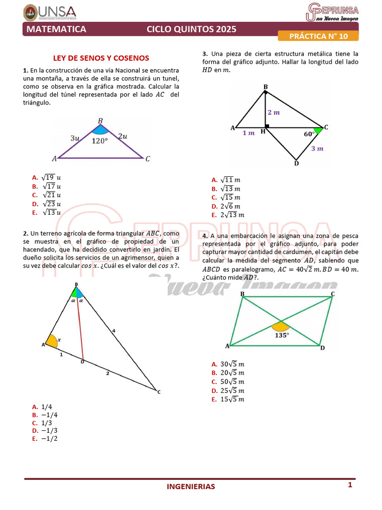 P10 - Matematica | PDF | Triángulo | Geometría euclidiana