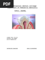 Enamel: Physical and Chemical Properties | PDF | Tooth Enamel | Tooth