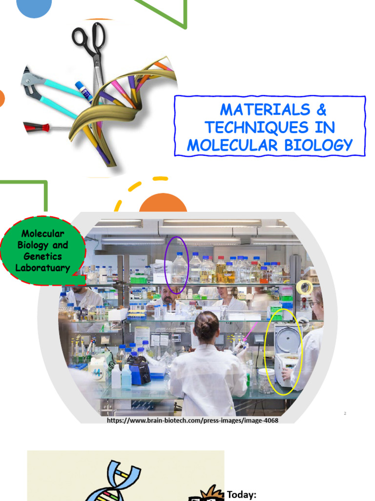 Molecular Biology Techniques Overview | PDF | Molecular Biology | Gene