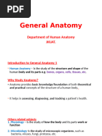 Chapter 1 The Human Body | PDF | Human Body | Blood