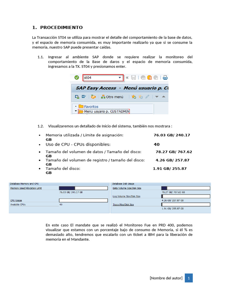 Monitoreo de Memoria en SAP ST04 y RZ20 | PDF