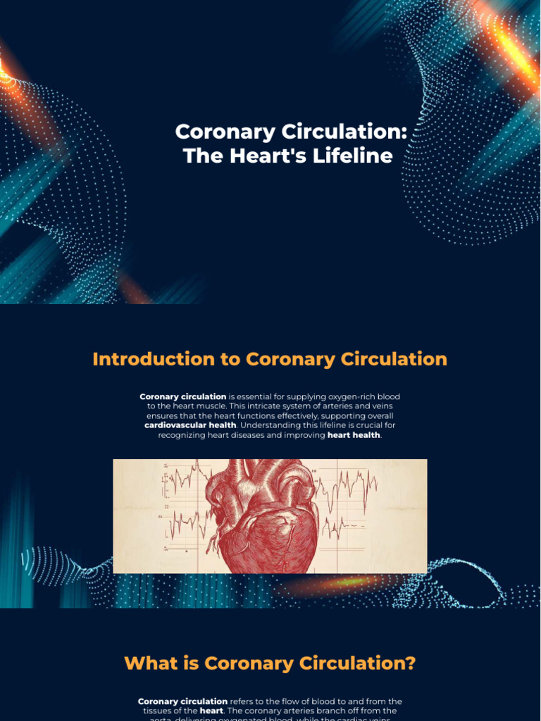 Understanding Coronary Circulation Basics | PDF | Coronary Circulation ...