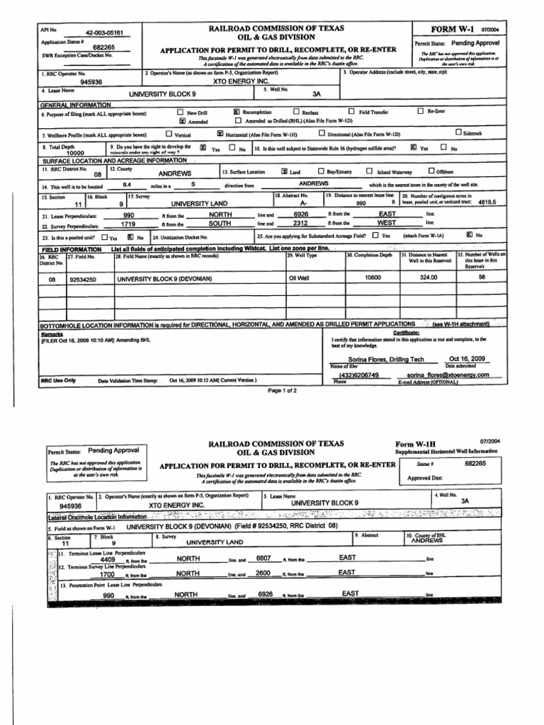 00305161-Amended W1 | PDF