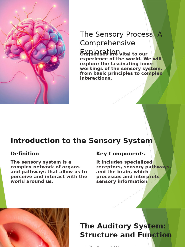 The Sensory Process Acomprehensive Exploration Pdf Senses Taste