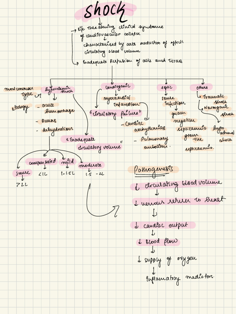 Cardiovascular Shock Overview | PDF | Shock (Circulatory) | Angiology