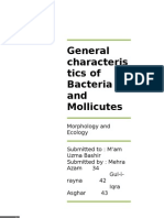 General Characteristics of Bacteria and Mollicutes