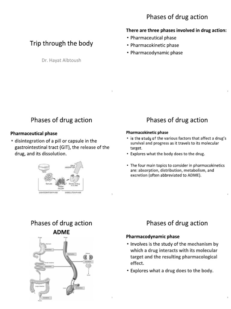 Lecture 3 6 Pages Pdf