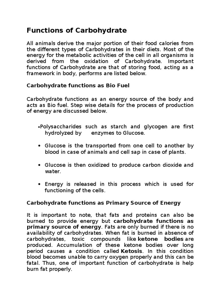 Functions of Carbohydrate Polysaccharide Carbohydrates