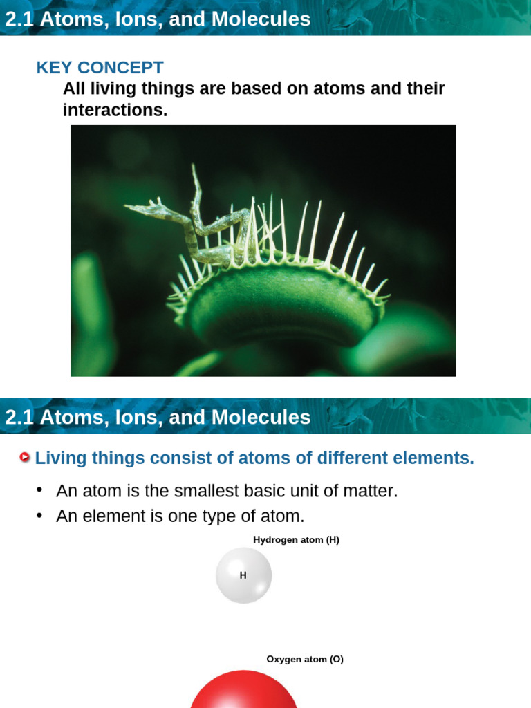 Chapter 2 Section 2 Atoms, Ion 99515127 | PDF | Ion | Atoms
