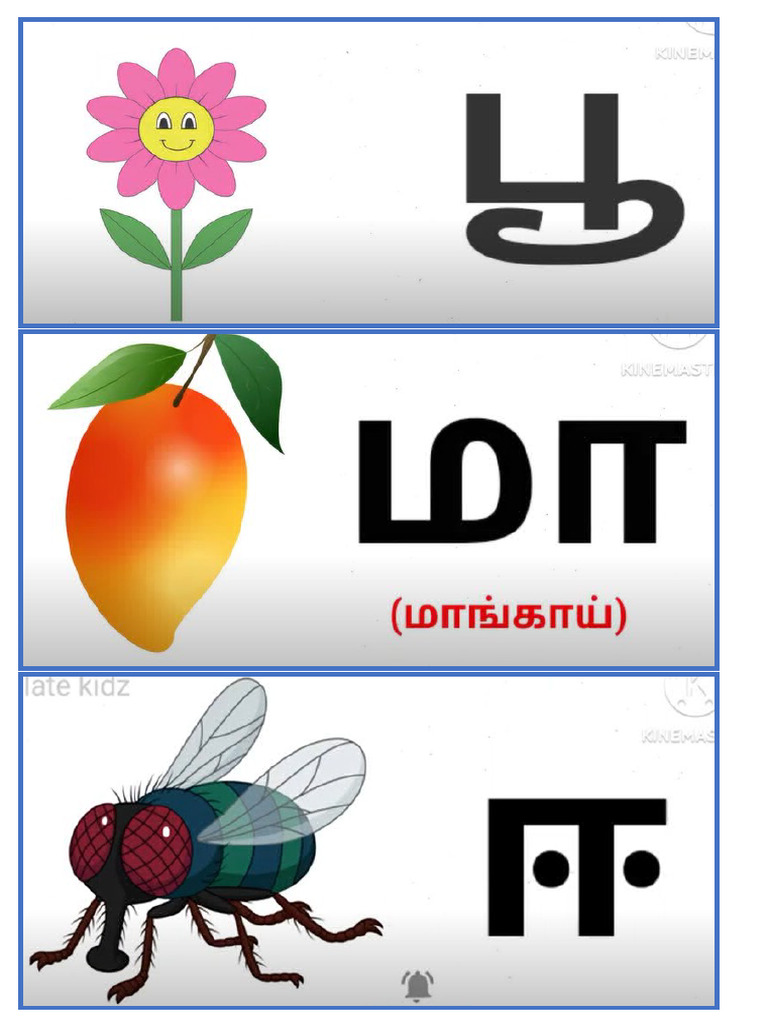 ஓரெழுத்துச் சொற்கள் அட்டை | PDF