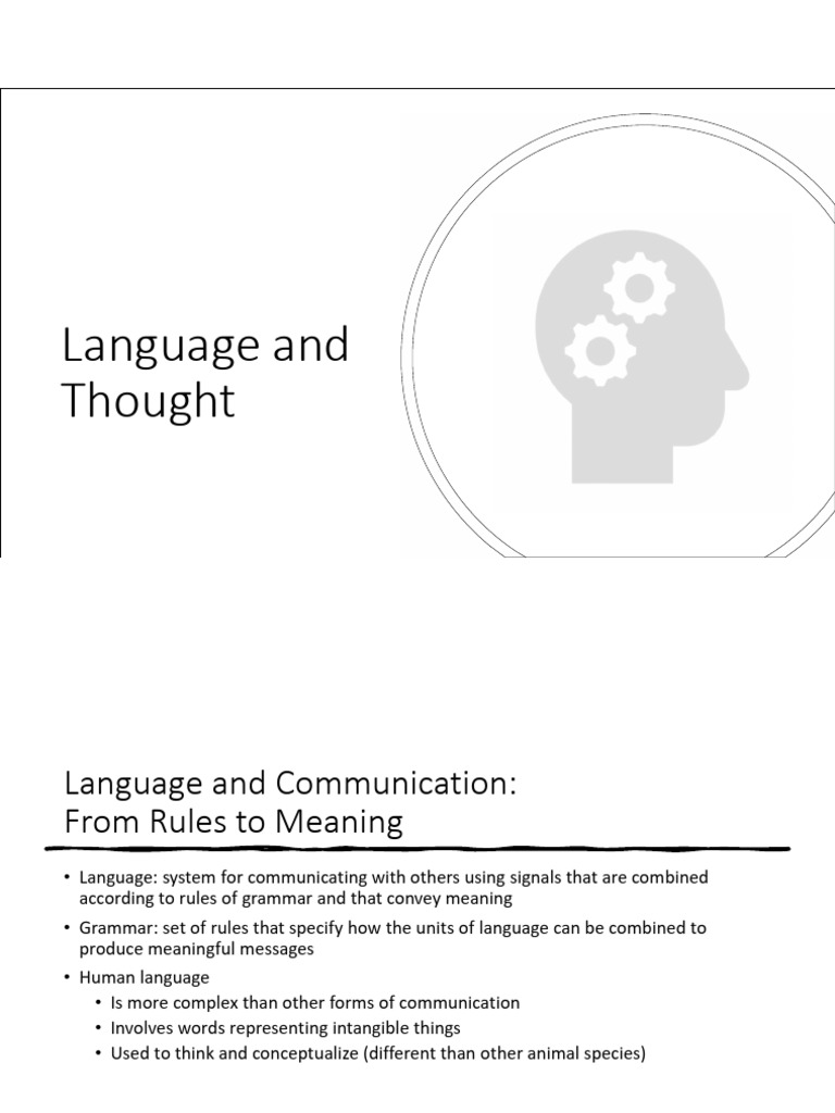 Lecture 7 - 1 Slide | PDF | Decision Making | Lateralization Of Brain ...