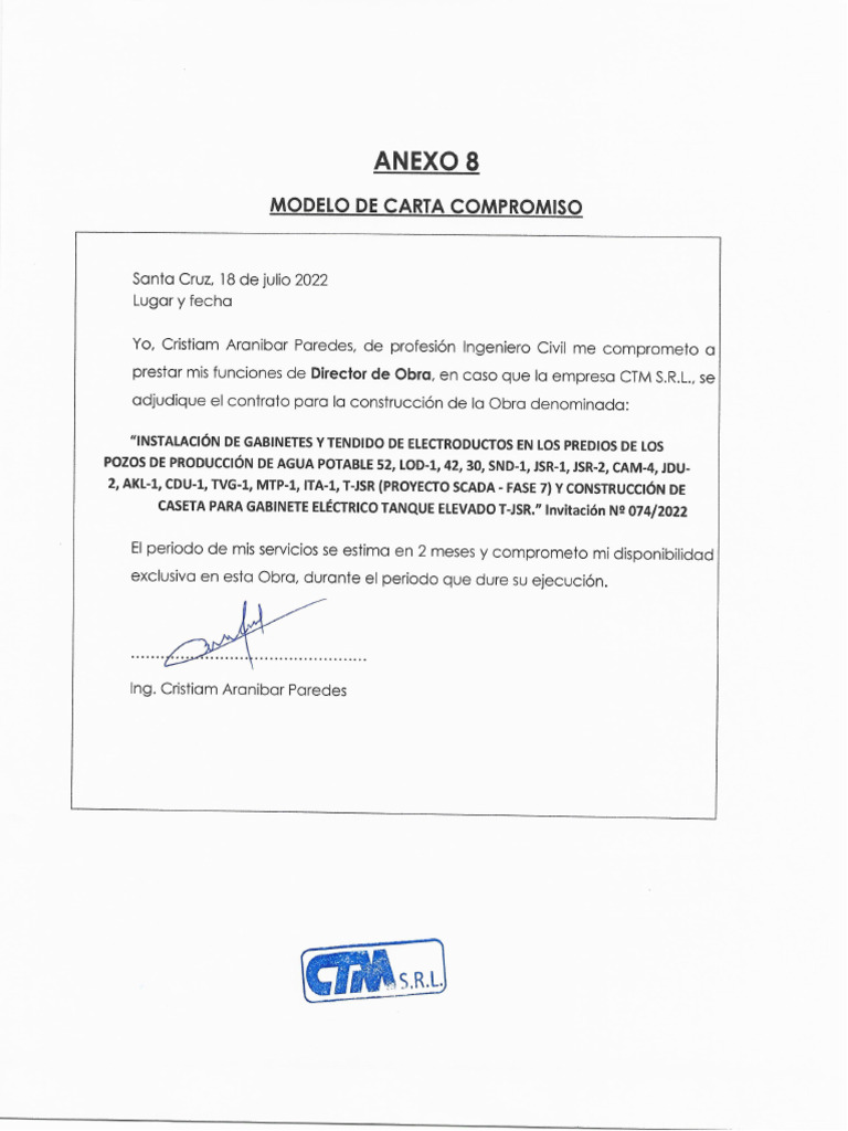 8.-Carta Compromiso Profesionales | PDF