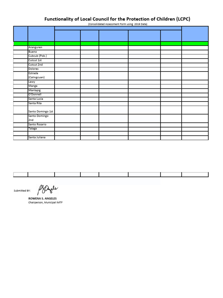 Local Council Functionality Assessment | PDF