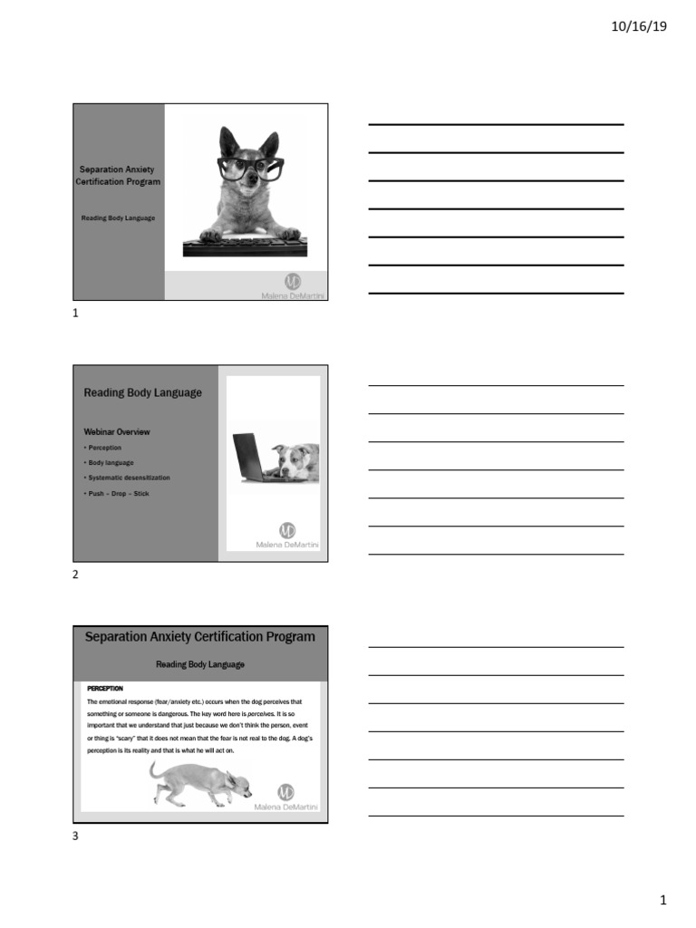5 SA Body Language - 3 | PDF | Body Language | Fear