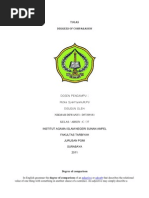 Download Degree of Comparison by Balya Subarkah SN79672101 doc pdf