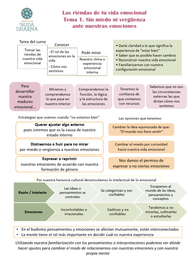 CVE1 Mapa Mental Tema 1 | PDF | Las emociones | Experiencia