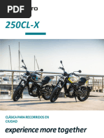 Especificaciones de la 250NK FUN | PDF | Sistema de freno antibloqueo ...