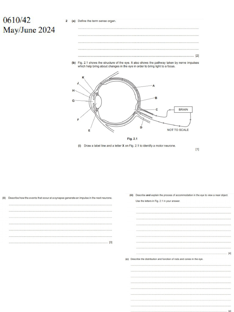 Edexcel visual data 3