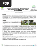 Poster MPU Tainha1 Mpu2010