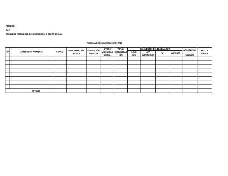 Formato Planilla de Remuneraciones | PDF