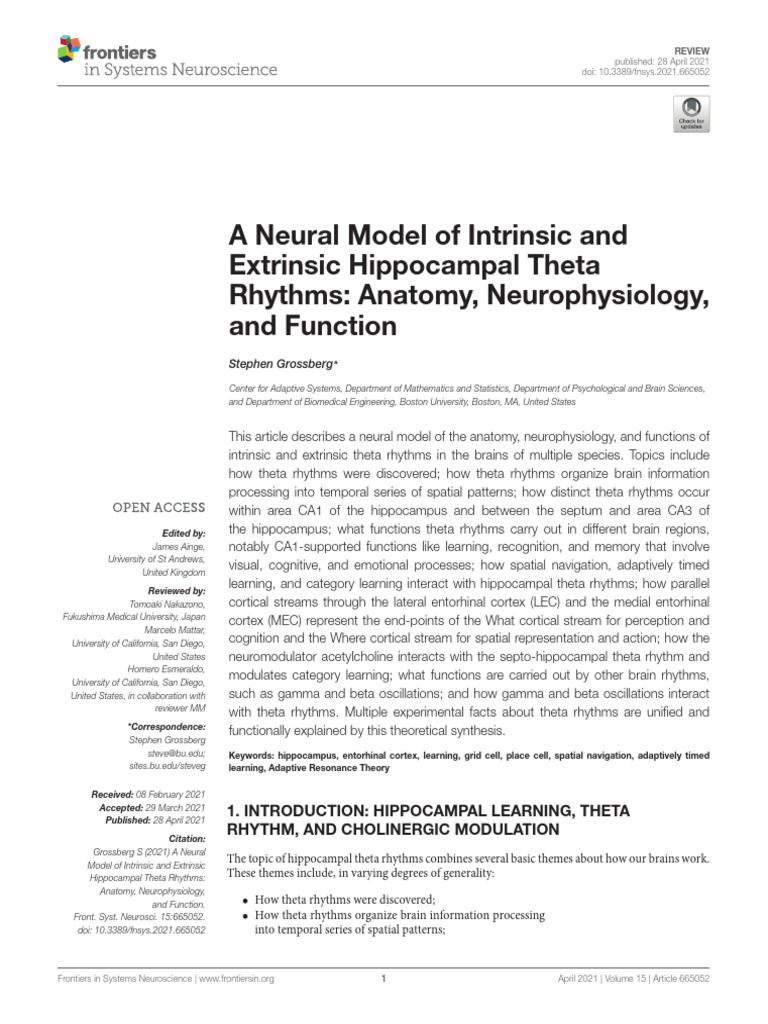 A Neural Model of Intrinsic and Extrinsic Hippocampal Theta Rhythms ...