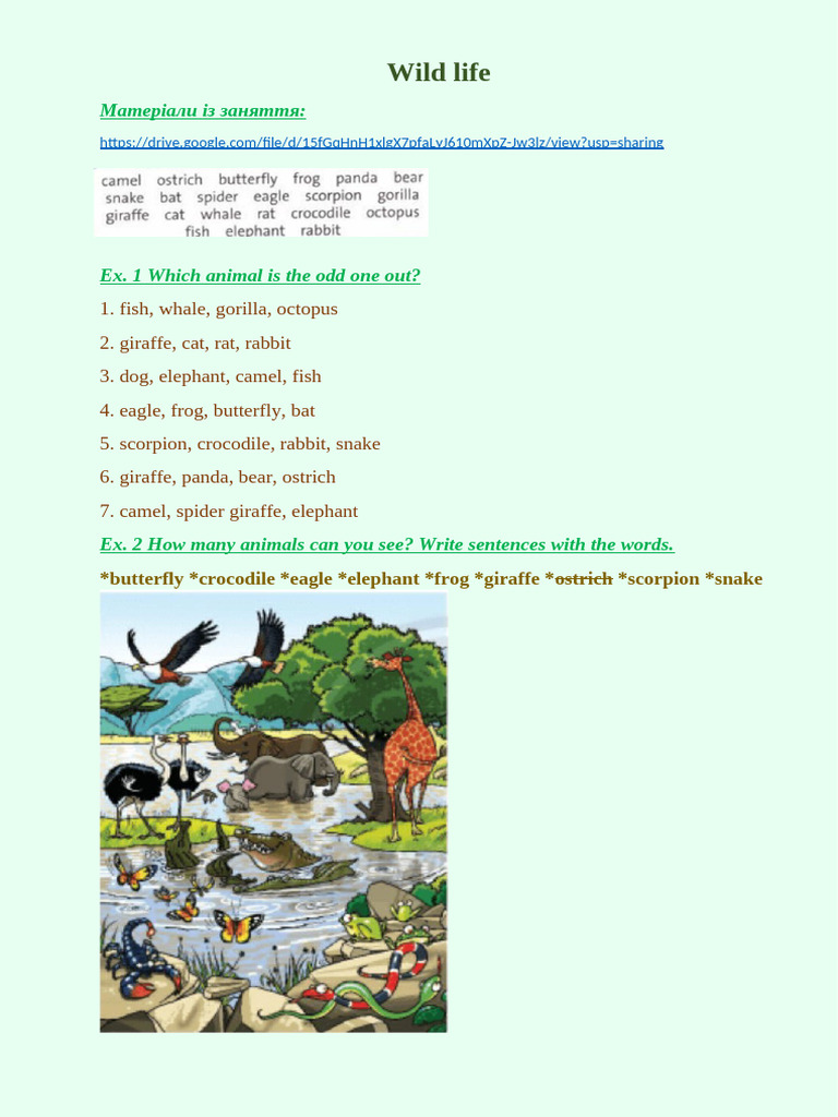 Wildlife Activity Worksheet for Kids | PDF