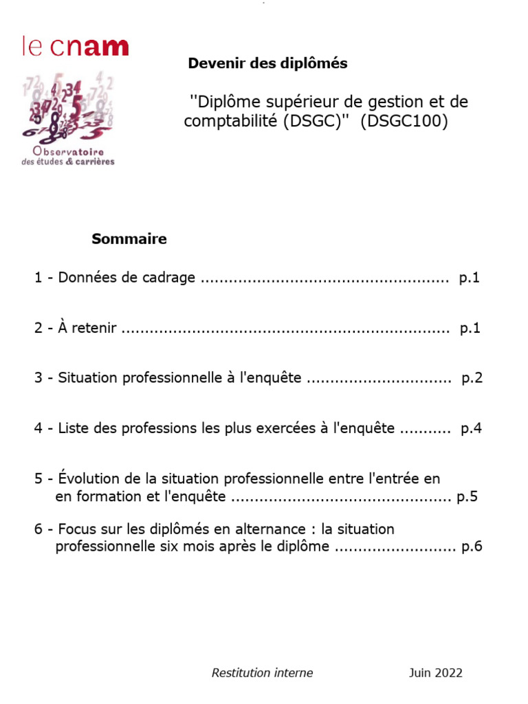 Situation professionnelle des diplômés DSGC | PDF | Travail | Relations ...