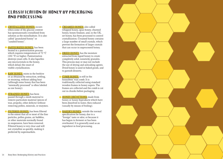 Busy Bees Eh Version (1) (1) (1) - 14-15 | PDF | Honey | Honey Bee