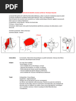 Anatomie et clinique du triangle de Scarpa | PDF | Anatomie de membre ...