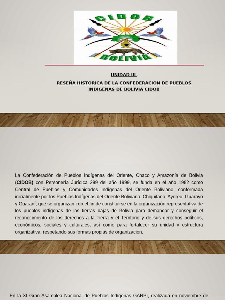Unidad Iii Reseña Historica de Los Pueblos Indigenas de Bolivia | PDF ...