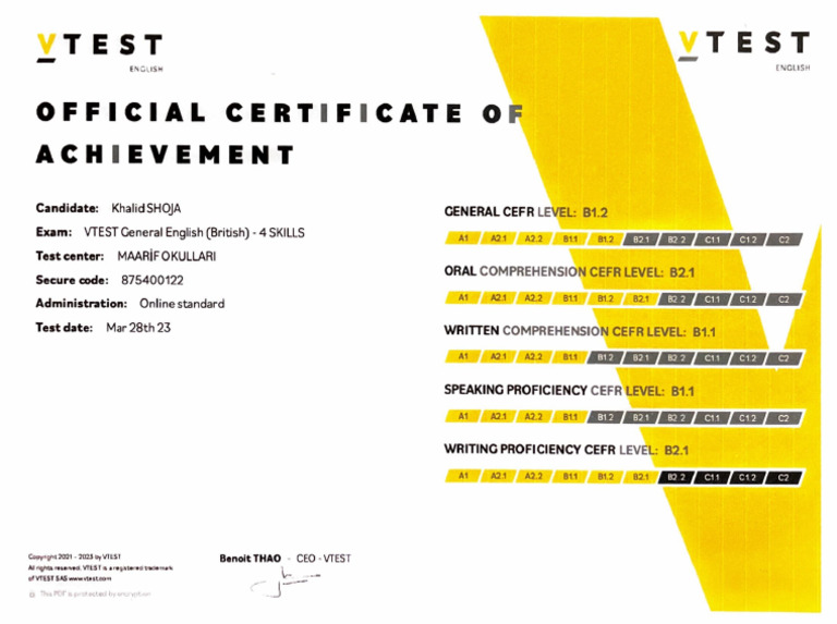 V Test | PDF