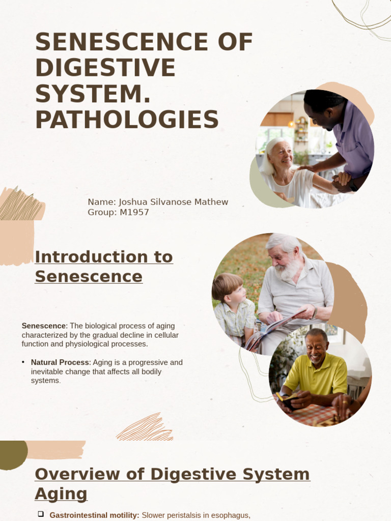 Aging and Digestive System Pathologies | PDF | Stomach | Digestion
