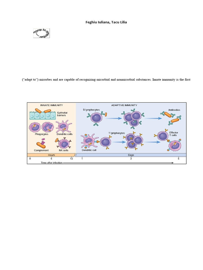 Vi Disease of The Immune System-7150 | PDF | Immune System | Antibody