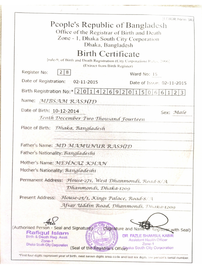 New Document | PDF